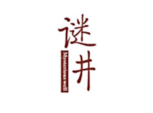 谜井MYSTERIOUS WELL