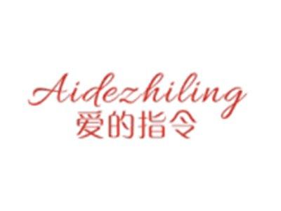 爱的指令AIDEZHILING