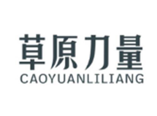 草原力量CAOYUANLILIANG