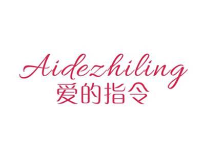 爱的指令AIDEZHILING