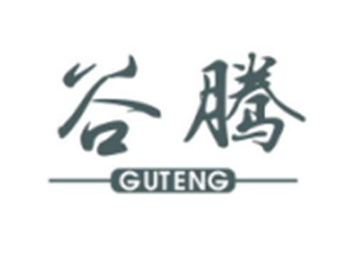谷腾GUTENG