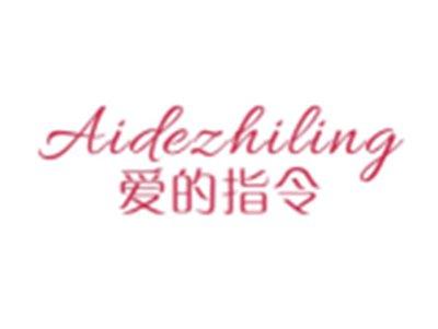 爱的指令AIDEZHILING