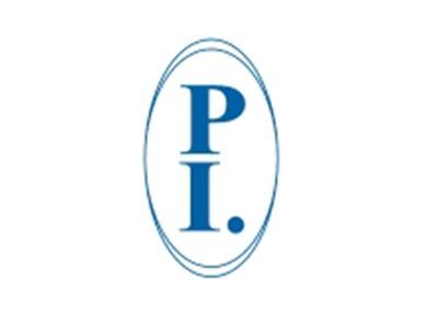 PI图形