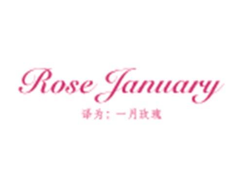 ROSE JANUARY(一月玫瑰)