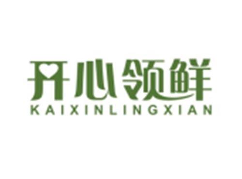 开心领鲜KAIXINLINGXIAN
