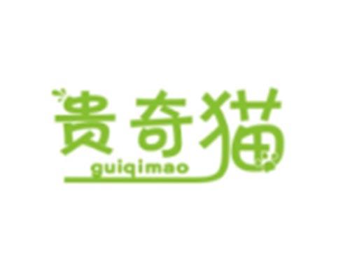 贵奇猫