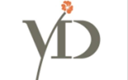 YD图形