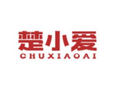 楚小爱CHUXIAOAI