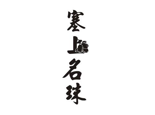 塞上名珠