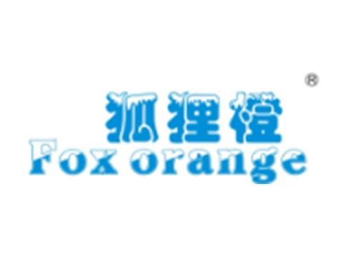 狐狸橙FOXORANGE