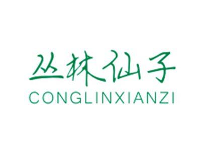 丛林仙子CONGLINXIANZI