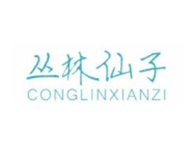 丛林仙子CONGLINXIANZI