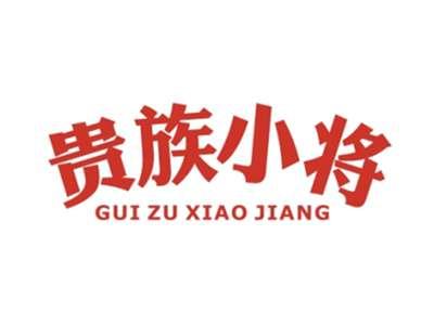 贵族小将GUIZUXIAOJIANG