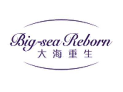 大海重生BIG-SEAREBORN
