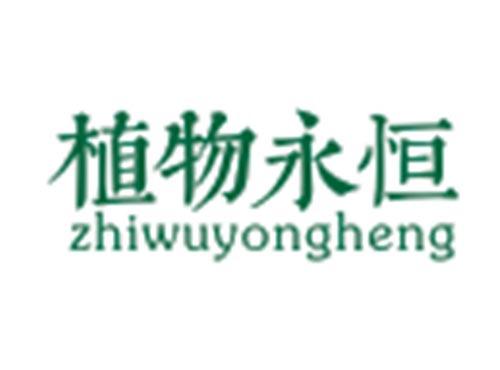 植物永恒ZHIWUYONGHENG