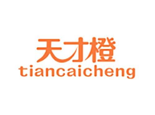 天才橙TIANCAICHENG