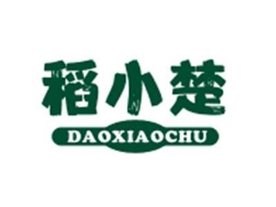稻小楚DAOXIAOCHU