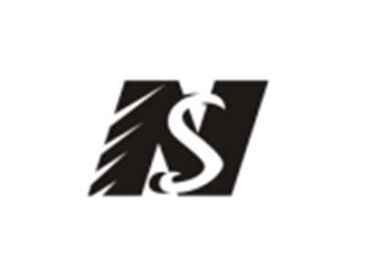NS图形