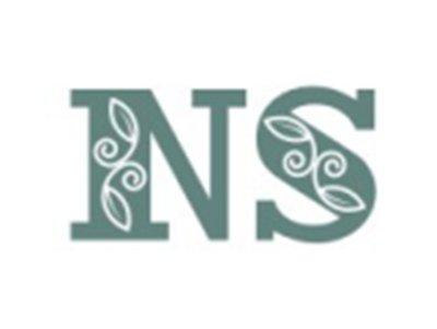 NS图形