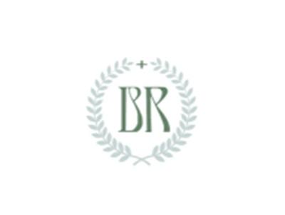 BR图形