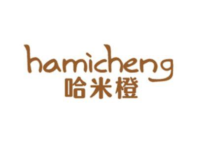 哈米橙HAMICHENG