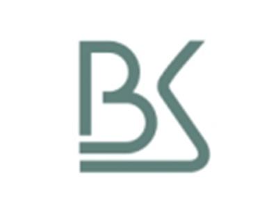 BS图形