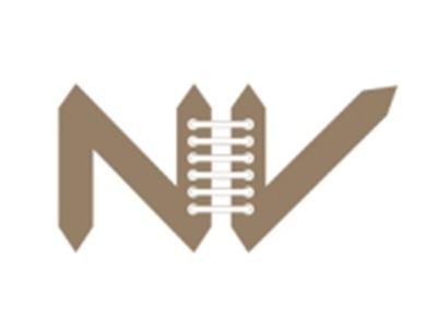 NV图形