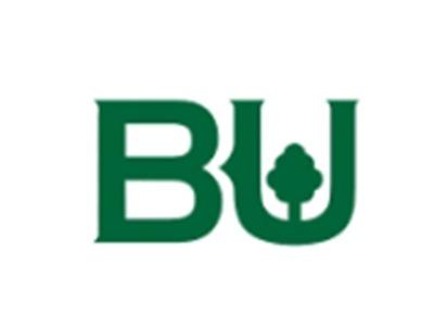 BU图形