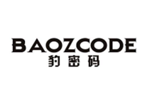 豹密码+BAOZCODE