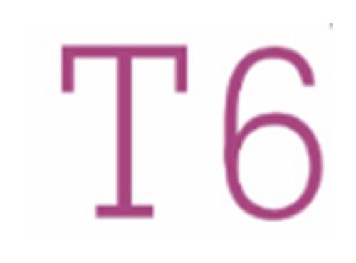 T6