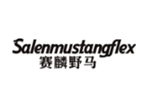 赛麟野马