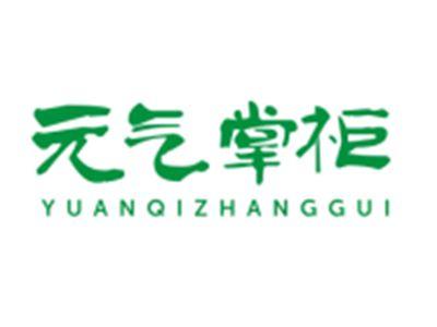 元气掌柜YUANQIZHANGGUI