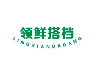 领鲜搭档LINGXIANDADANG