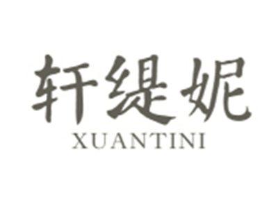 轩缇妮XUANTINI