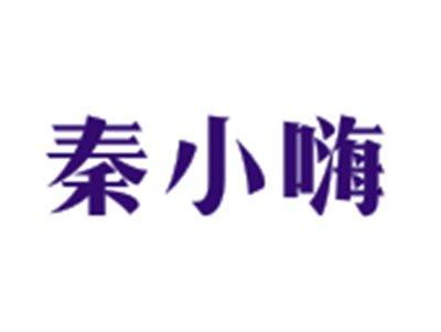 秦小嗨