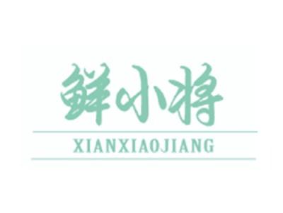 鲜小将XIANXIAOJIANG