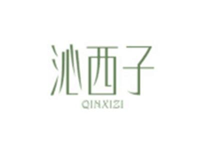 沁西子QINXIZI