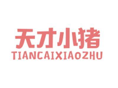 天才小猪TIANCAIXIAOZHU