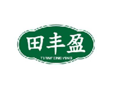 田丰盈TIANFENGYING