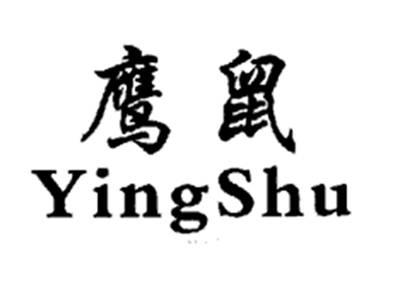 鹰鼠YINGSHU