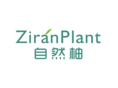 自然柚
