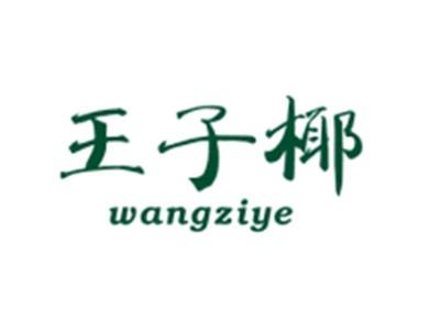 王子椰WANGZIYE