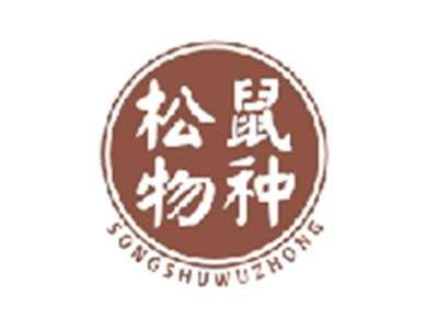 松鼠物种SONGSHUWUZHONG