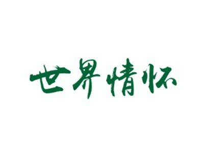 世界情怀