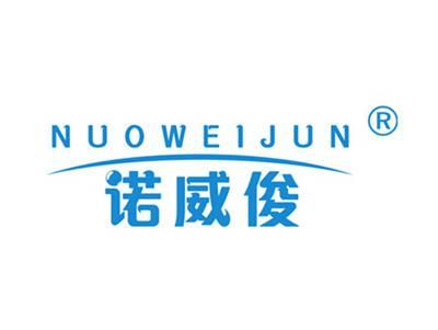 诺威俊