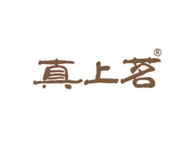 真上茗