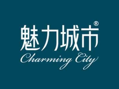 魅力城市CHARMINGCITY