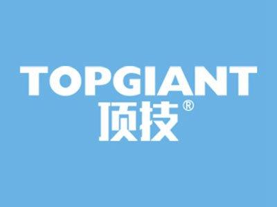 顶技TOPGIANT