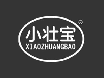 小壮宝