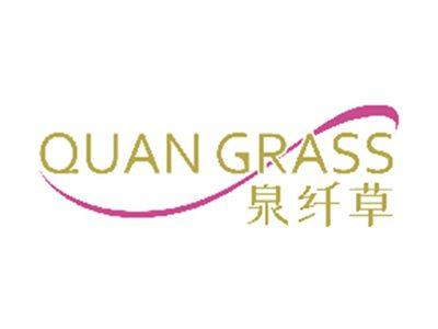 泉纤草
